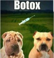 Botox