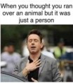 When You Thought You Ran Over An Animal